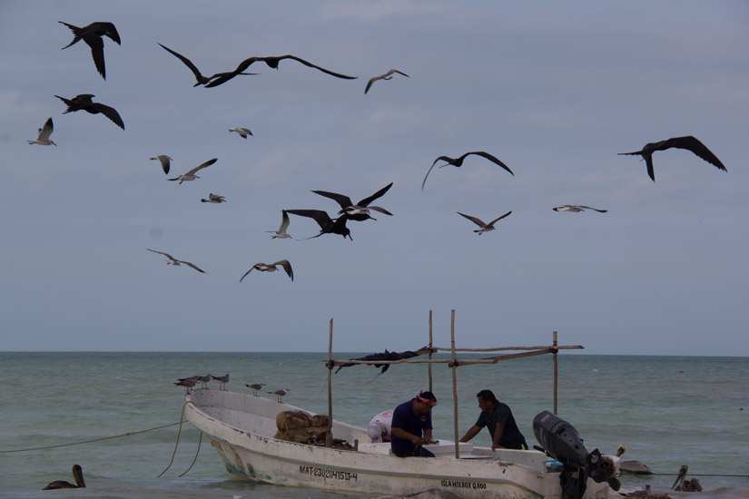 11_isla-holbox