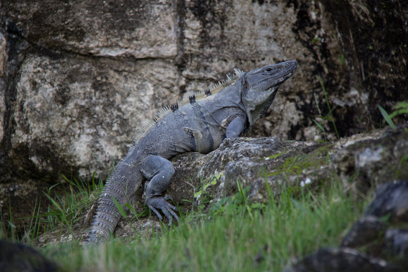 4_belize_xunantunich-8