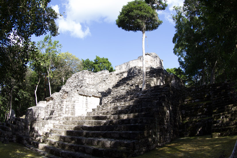 7_calakmul-temple-ruins