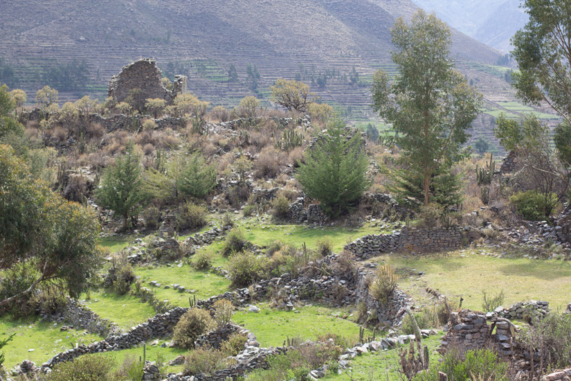 9_Canon-del-Colca-3