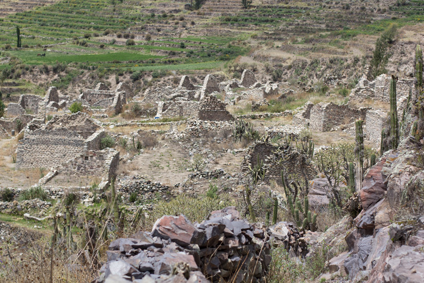 9_Canon-del-Colca-4